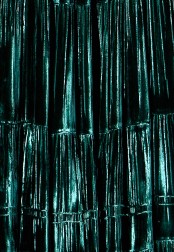 forest green sample